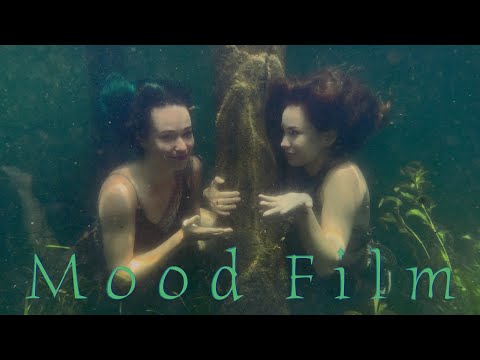 Curious Water Nymphs | Underwater Mood