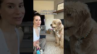 Cute dog tricks 🐾 #doglife #goldendoodle #dogmom #cutedog #dogtricks