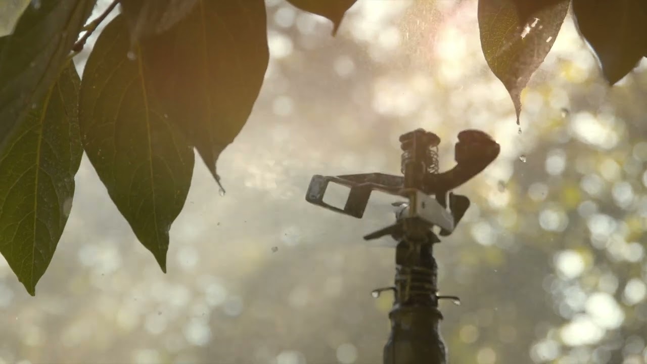 Visuel de campagne Schilliger