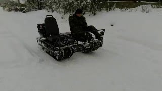 Муравей для рыбалки и охоты