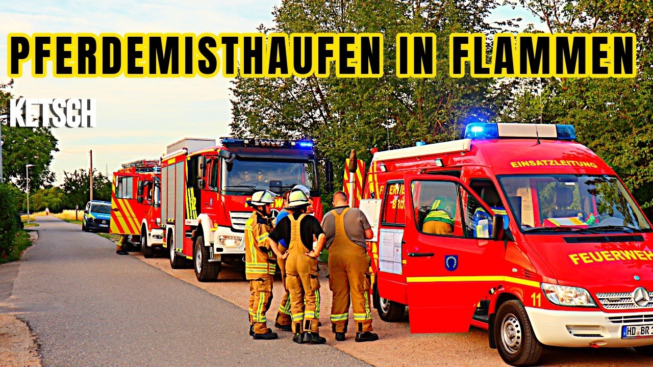 Großbrand in Ketsch: Pferdemisthaufen in Flammen – Feuerwehr im Großeinsatz