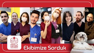 EKİBİMİZE HAYVANLAR HAKKINDAKİ EFSANELERİ SORDUK ! 🐶🐱