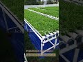 Kebun Kangkung Hidroponik Sistem DFT Pipa Paralon