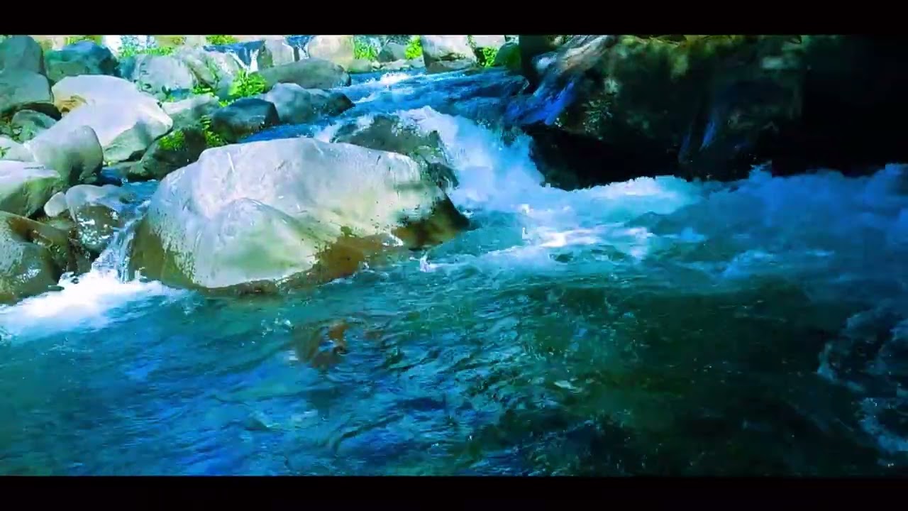 Peaceful Flowing Waters in Tropical Rainforests for Relaxation and Inner Tranquility