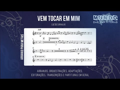 Vem Toca Em Mim - Luiz de Carvalho