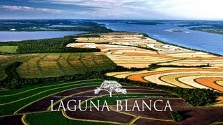 Agriculture as Art
