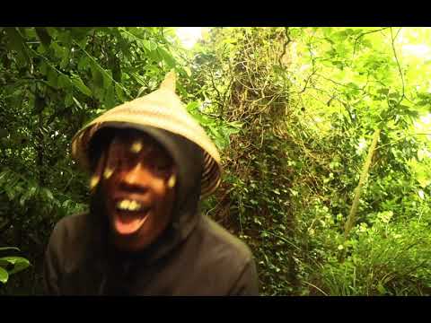 Pharaii Dambisa - Afro Soul