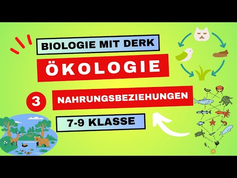 Ökologie | 3 | Nahrungsbeziehungen | 7 - 9 Klasse