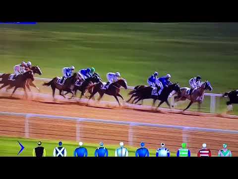 Hypothetical-Meydan Racing
