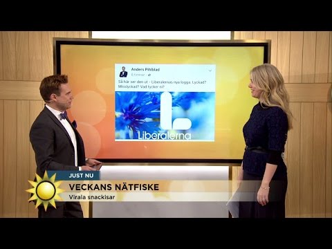 Veckans virala snackisar - Stor humor kring Liberalernas nya logga  - Nyhetsmorgon (TV4)