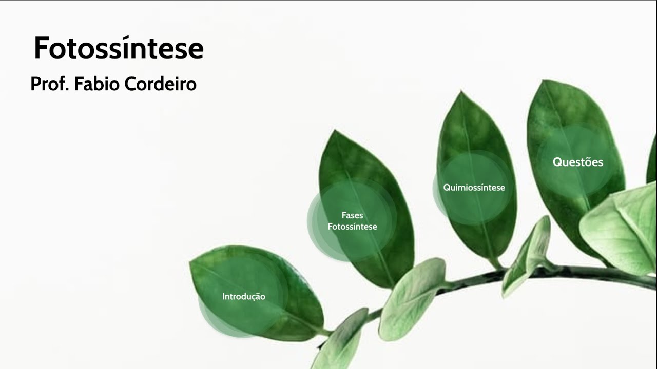 |Fisiologia Vegetal| Fotossintese - Prof. Fabio Cordeiro