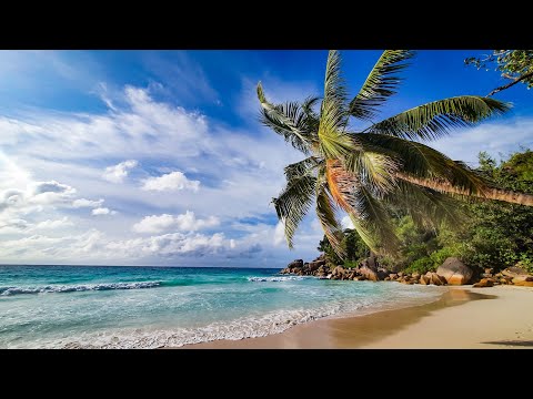Is this the most beautiful beach in the world 🌏? Anse Georgette @ Constance Lemuria Resort - Praslin
