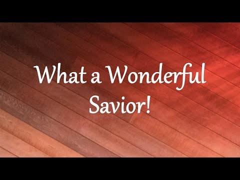 What a Wonderful Savior!