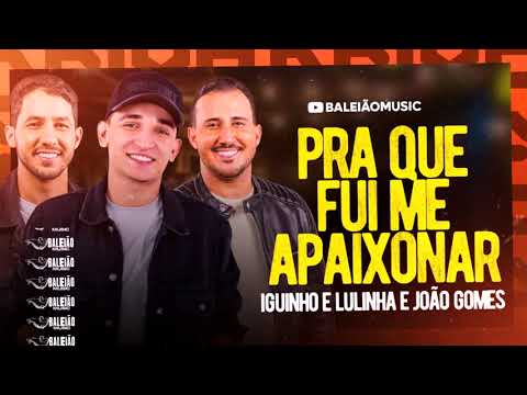 ESPERO QUE FIQUE BEM PRA QUE EU FUI ME APAIXONAR - JOÃO GOMES E IGUINHO E LULINHA