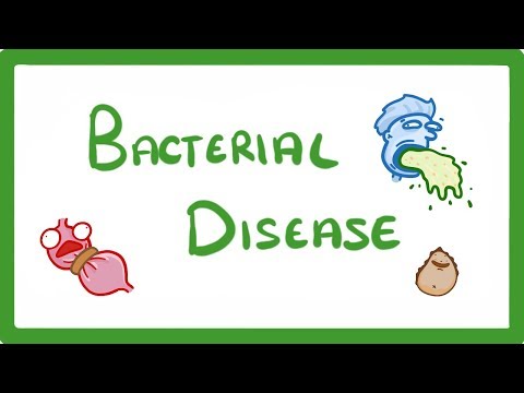 GCSE Biology What Are Bacterial Diseases Treatment and Prevention 37