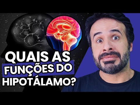 FUNÇÕES DO HIPOTÁLAMO VOCÊ SABE O QUE ESSA REGIÃO FAZ?