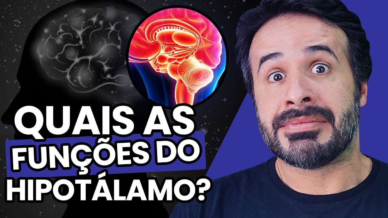 FUNÇÕES DO HIPOTÁLAMO VOCÊ SABE O QUE ESSA REGIÃO FAZ?