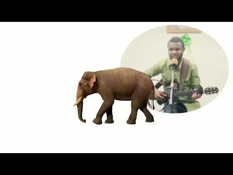 JOEL NGOYI SIRE, LES SIX AVEUGLES