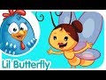 Lottie Dottie Chicken Songs For Kids Lil Butterfly Nursery Rhymes For Kids