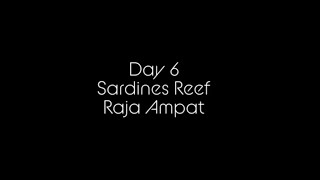 Day 6, Sardines Reef, Raja Ampat