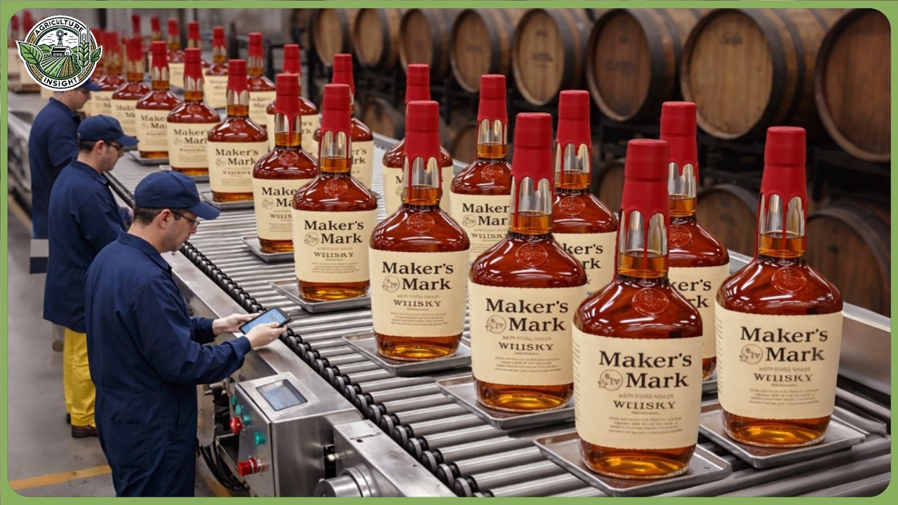 How Millions of Jack Daniel's Barrels & Corks Are Made from Oak Trees