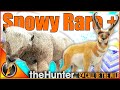 SELTENER Waldbison Im SCHNEE Diamant Gabelbock TheHunter Ruf Der Wildnis