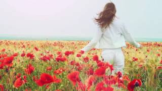 The Glimmer Room -   Fields full of Poppies