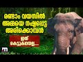 അമ്മ ചെരിഞ്ഞ സ്ഥലത്ത് വർഷത്തിലൊരിക്�