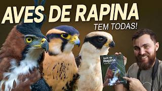 Miniatura do vídeo