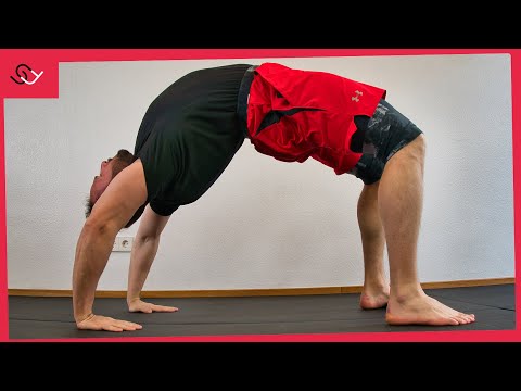 Brücke lernen für Anfänger - Starte hiermit