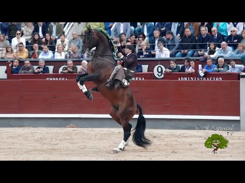 , title : 'El rejoneador Diego Ventura y su caballo “Nazarí”'
