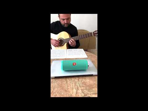 "BLUES"  -  JOE  PASS