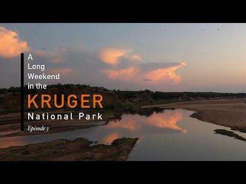 Long Weekend in the Kruger National Park | Ep3: Letaba Camp