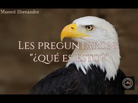 Los Tucanes De Tijuana - El Águila Blanca  (Letra)