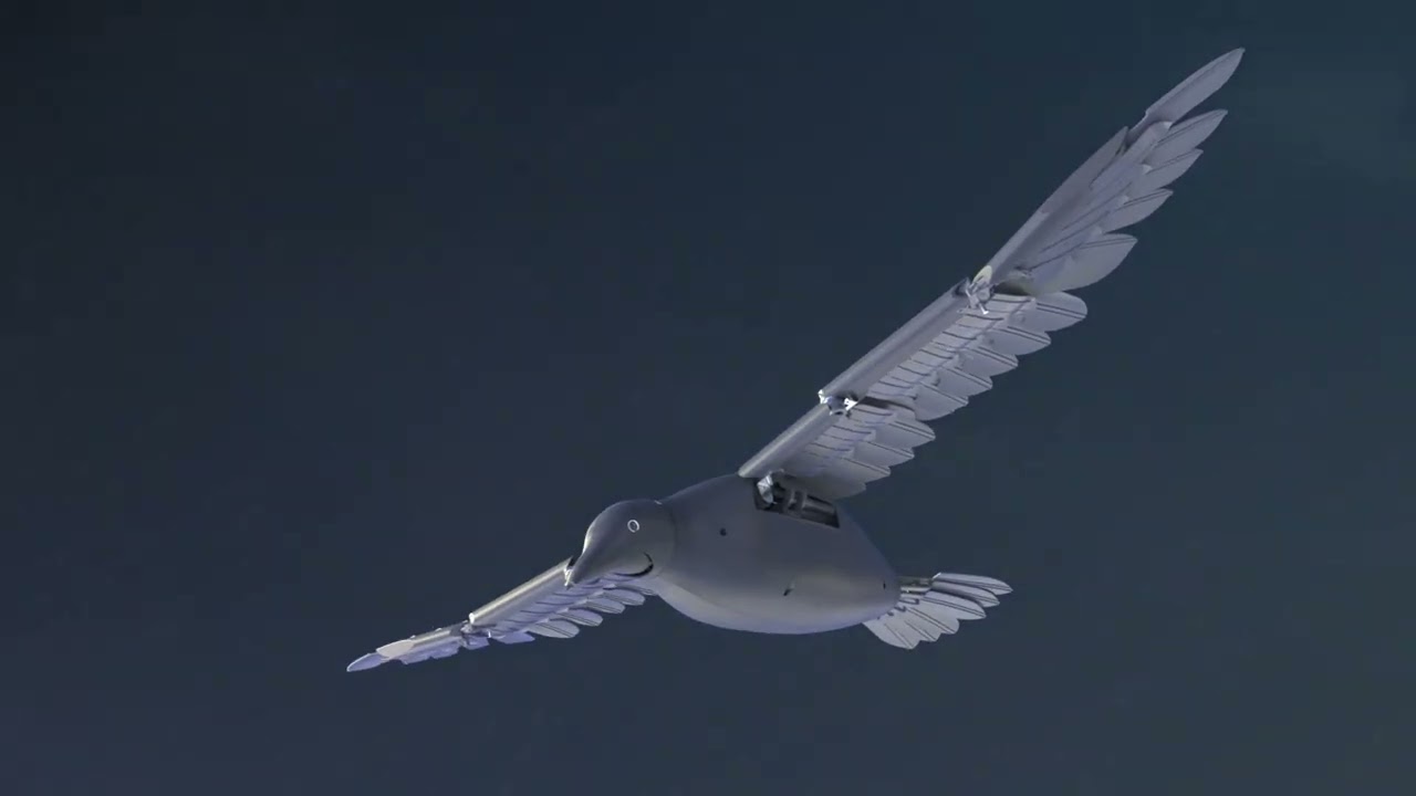 A Wing Flapping Drone