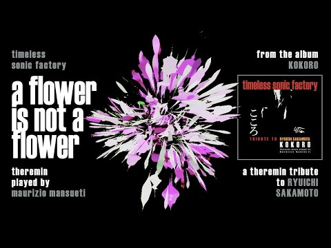 video frame placeholder