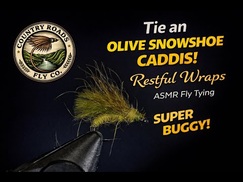 Olive Snowshoe Caddis