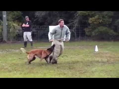 Henok Attaque Fuyante