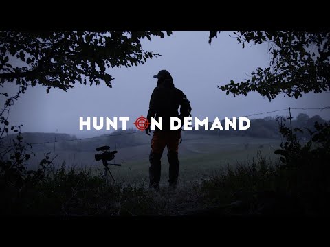 Rehwild-Doublette auf Morgenpirsch – Wildling Hunt on Demand Trailer