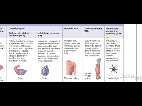 Pituitary gland function 5