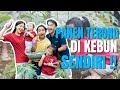 The Onsu Family - Panen Terong di Kebun Sendiri!