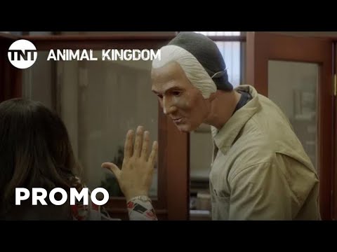 afbeelding Animal Kingdom: Breath [PROMO] | TNT