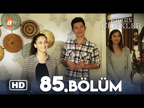 Kırgın Çiçekler 85. Bölüm | HD