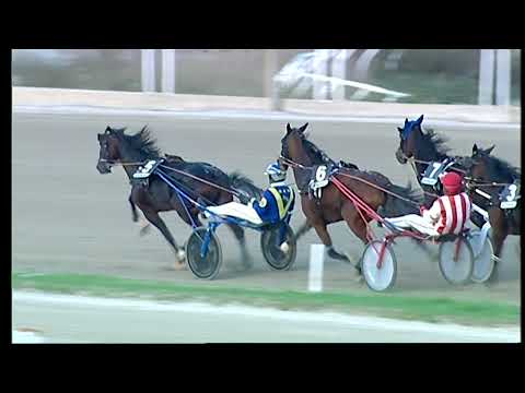 Napoli Trotto 7/11/2021 - 6ª corsa