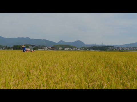【90秒ver.】糸田町PR動画/Itoda Town PR video 90 seconds version