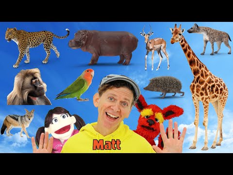 Africa Wild Animals Part 2 - What Do You See? Song  | Find It Version | Dream English Kids