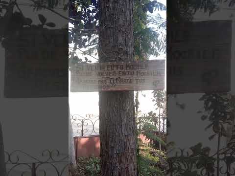 💫El Jardín de San Gregorio Cuautzingo es hermoso 💫