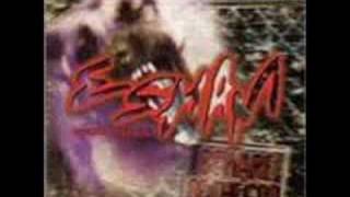 30 Birdz by Esham