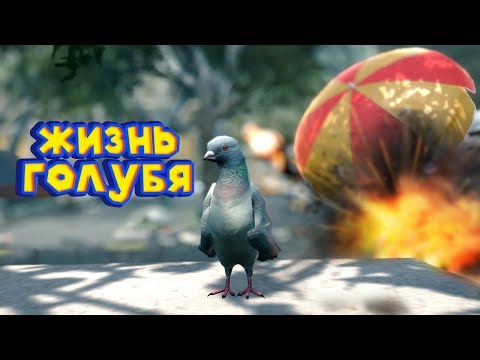 СИМУЛЯТОР ВРЕДНОГО ГОЛУБЯ Pigeon Simulator
