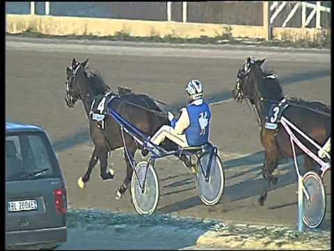 Trotto 22/12/2015 - 4° corsa